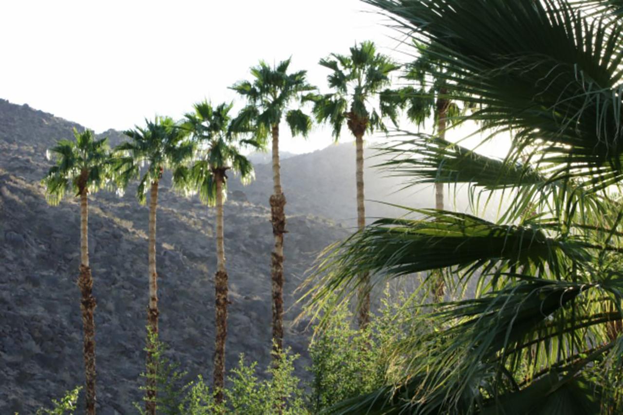 Villa Thornhill Palm Springs Exterior foto