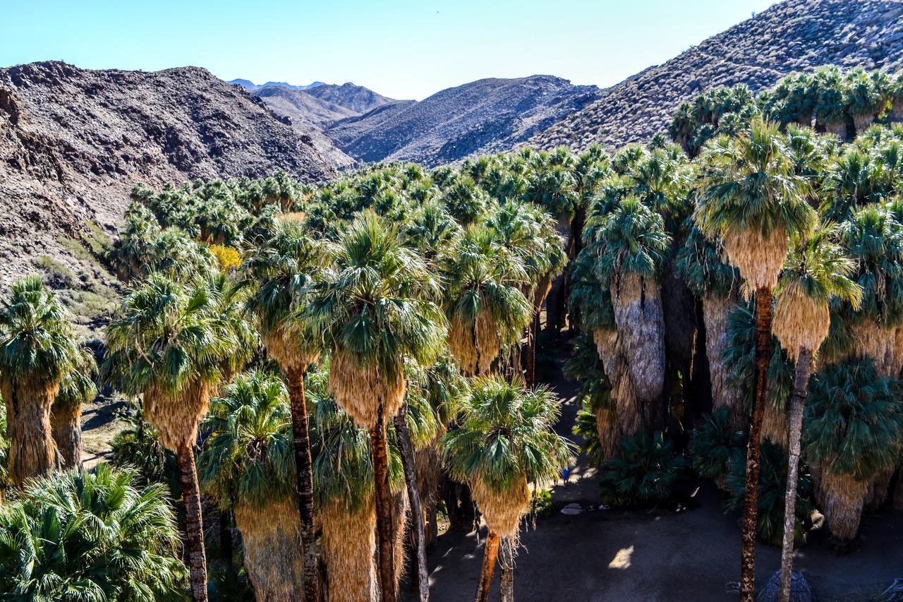 Villa Thornhill Palm Springs Exterior foto